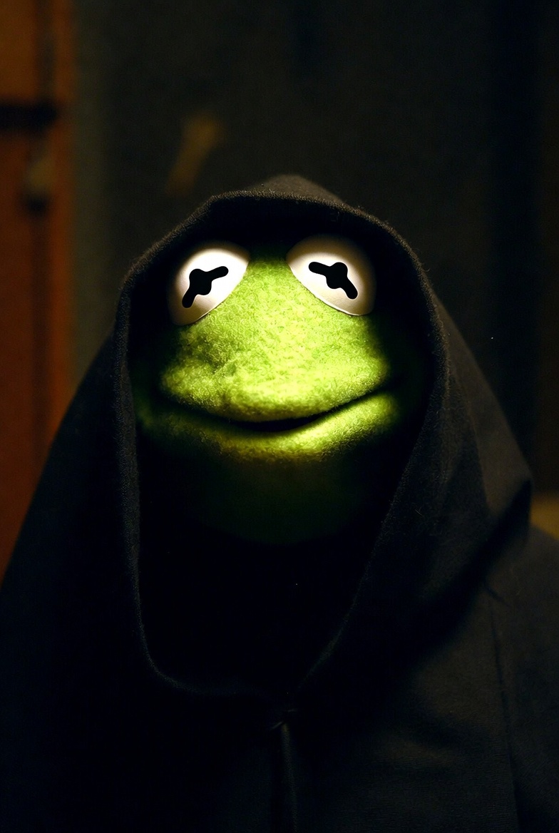 Hooded Kermit staring from the dark